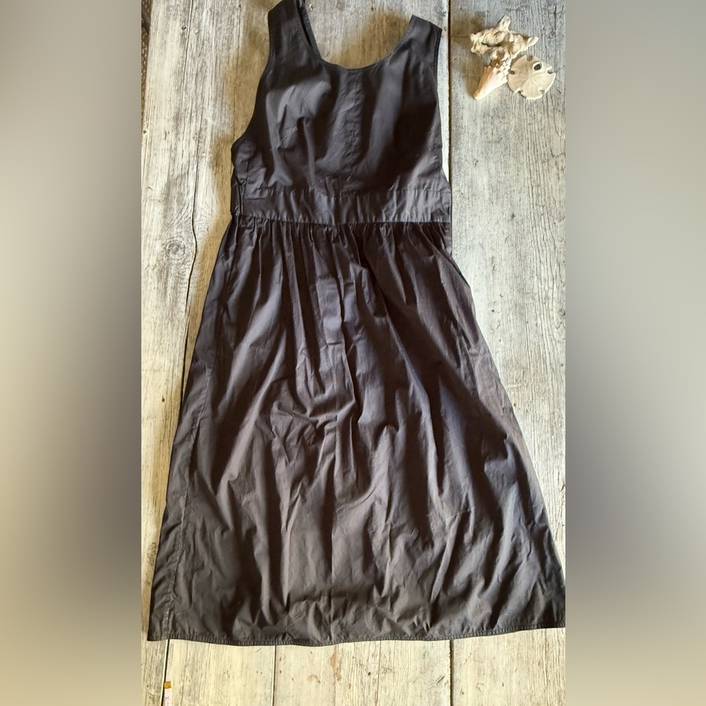 Everlane Black Gathered Waist Dress,